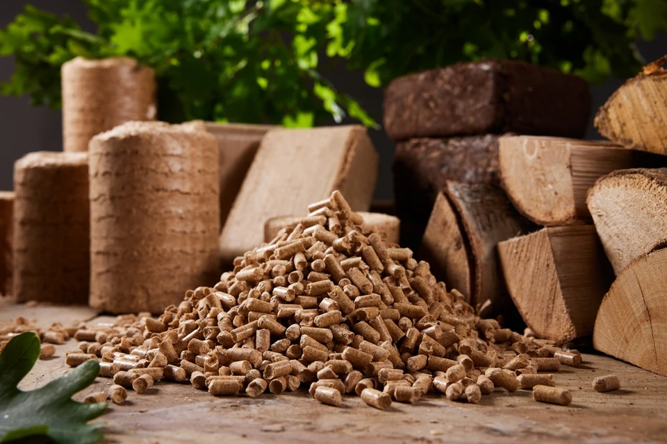 Scène extérieure avec tas de granulés de bois cylindriques au premier plan, bûches de chauffage empilées en arrière-plan, feuillage vert flou